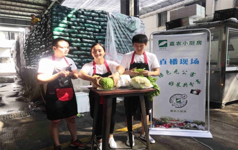 創(chuàng)意直播帶貨,本期專欄：蘭州高原夏菜！