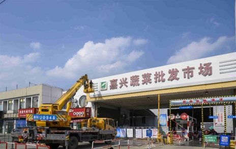 進無止境，“嘉農(nóng)?蔬菜人”