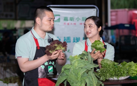 千金如玉，一口清心--生菜?油麥菜?萵筍直播專場(chǎng)